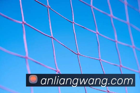 必一运动b官网全站App